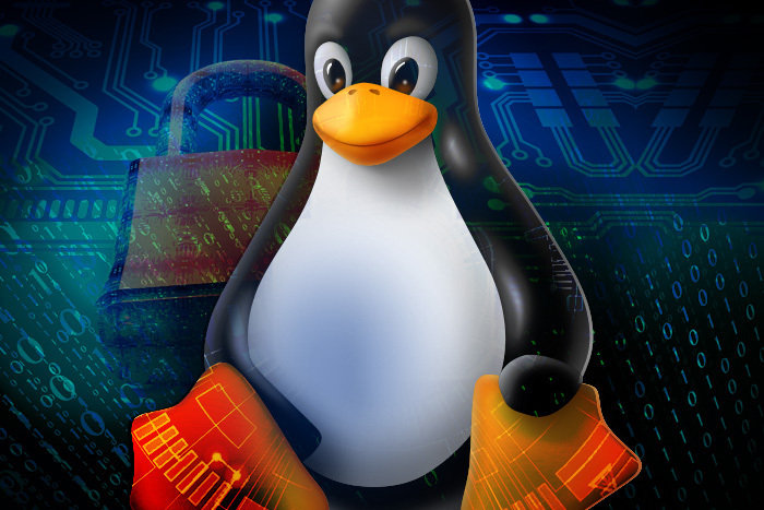 شناسایی آسیب‌پذیری انکار سرویس در لینوکس و FreeBSD
