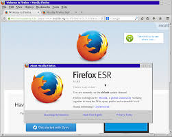 رفع دو آسیب‌پذیری در فایرفاکس و فایرفاکس ESR