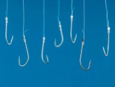 وب‌سایت‌های مهم ارز دیجیتال اسیر فیشینگ شدند