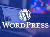 شناسایی آسیب‌پذیری مخرب در افزونه WordPress