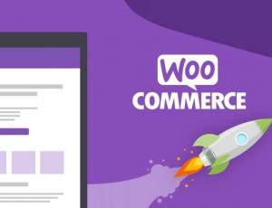 کشف آسیب‌پذیری بحرانی در WooCommerce وردپرس